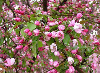 ���콺�� Ŭ���Ͻø� �����̹����� ���Ǽ� �ֽ��ϴ�.