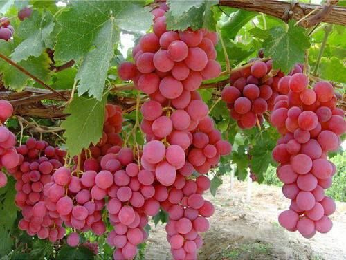 ���콺�� Ŭ���Ͻø� �����̹����� ���Ǽ� �ֽ��ϴ�.