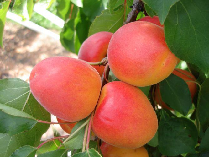 콺 ŬϽø ̹ Ǽ ֽϴ.