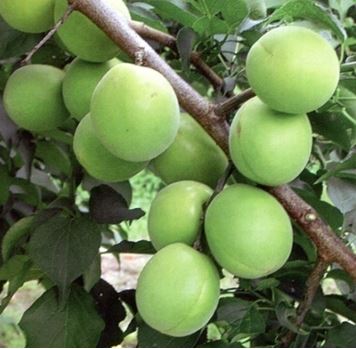 콺 ŬϽø ̹ Ǽ ֽϴ.